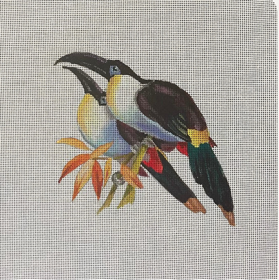 AN506 Toucans