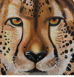 AN538 Cheetah Face