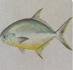 AN541 Pompano Facing Left