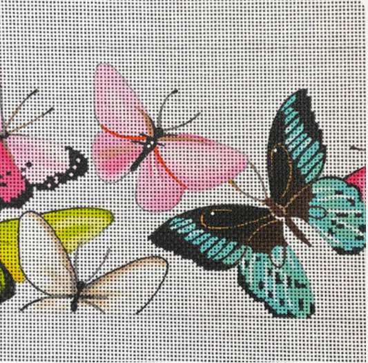 BR126 Butterfly
