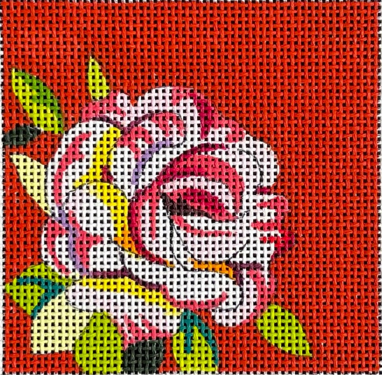 IN217 Pink Rose on Coral