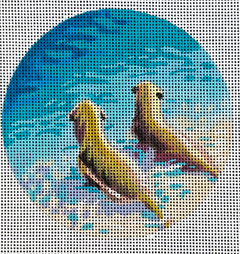 IN558 Dogs in Water