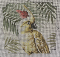 IN709 Cockatoo with Palms
