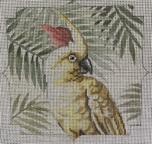 IN709 Cockatoo with Palms