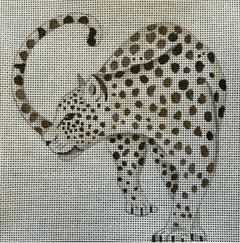 IN718 Looking Leopard