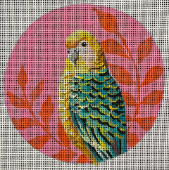 IN809 Parakeet