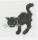 PT-205 Black Cat