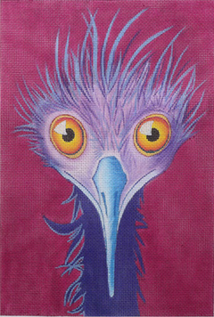 ZE1017 Bug-Eyed Bird