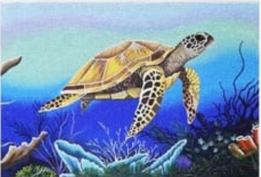 IP-PL10 Turtle
