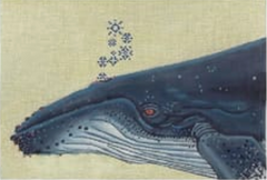 NM-PL03 Whale