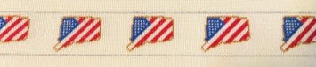 NPC-CT USA Flag Belt