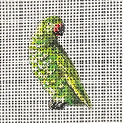 JW500 Parrot Patch