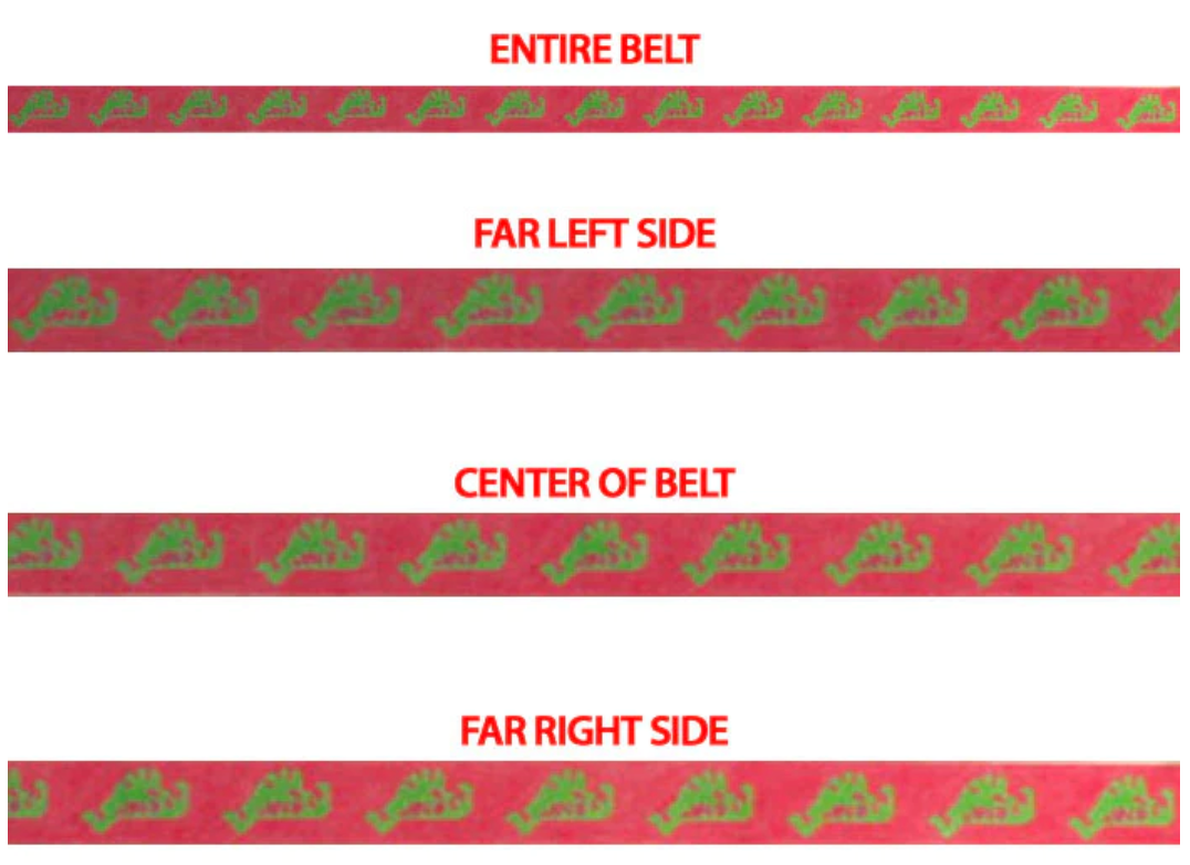 646 Martha's Vineyard Belt - Pink and Green