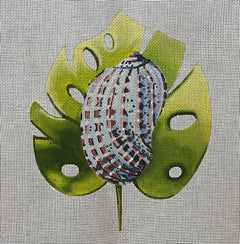 MC490 Seashell on Leaf