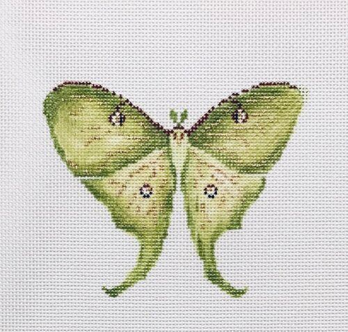 27M Luna Moth