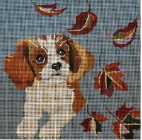 D07 Fall Cavalier